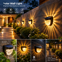 LED Solar Powered Fence Lights(Pack of 4)